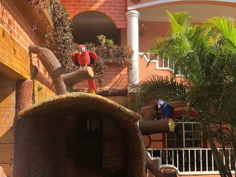 Hotel Residencia Del Sol Ville de Guatemala Extérieur photo